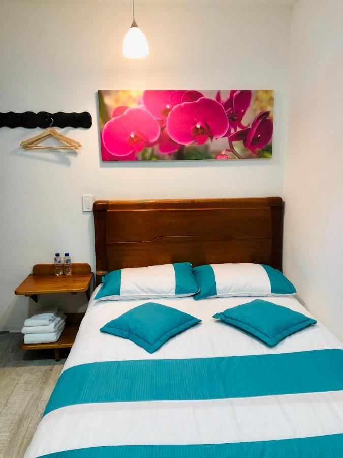 40 Amigos Hotel